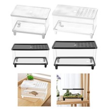 Mini terrarium transparent