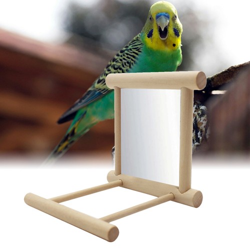 Jouet perruche calopsitte - perruche,