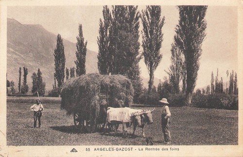 Argeles gazost rentree - 65,