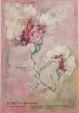 Original work signed Domenech, Pinquita rosacea, imaginary herbarium 32 x 46 cm