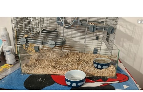Cage hamster verre et - hamster, en