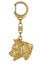 American Staffordshire