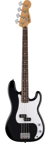 Fender standard series - fender,