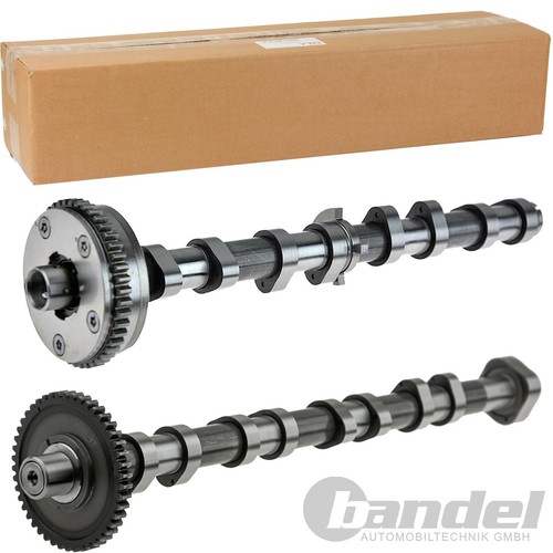 Cames échappement pour - 2, +
