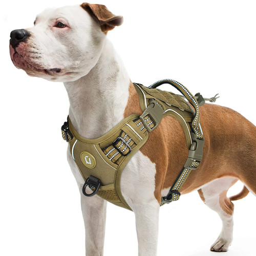 Harnais tactique pour - , chien