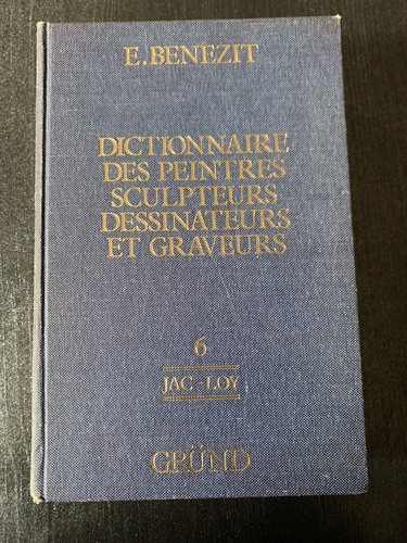 Livre dictionnaire des - livre,