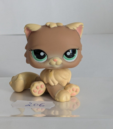Petshop chat persan - , ref
