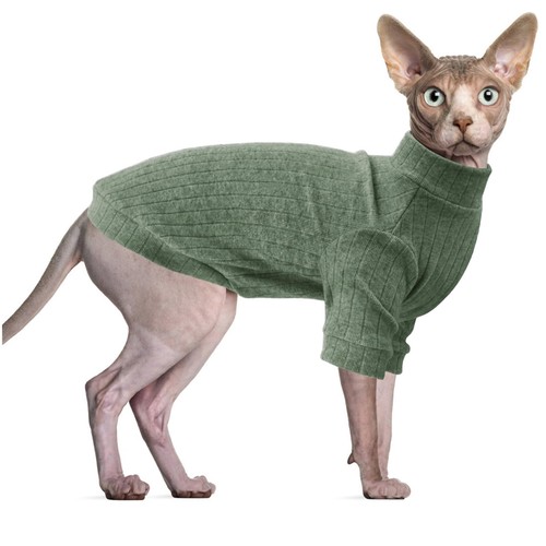 Vêtements pour chat sphynx - vêtements,