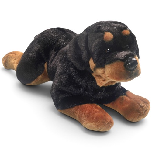 Carl dick rottweiler - rottweiler, chien