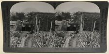 Watermill Hydraulic Engine Italy Stereo Photography Vintage Silver