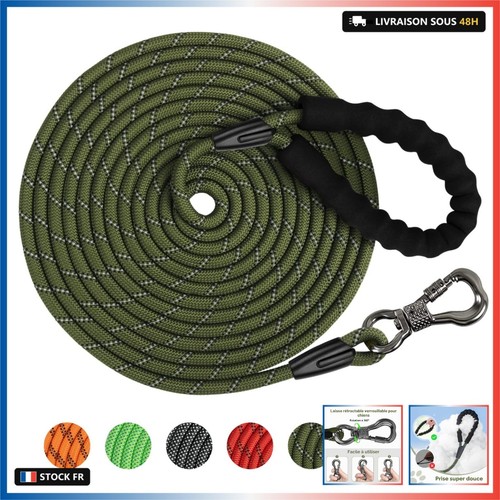 Xben longe pour - chien, 15m