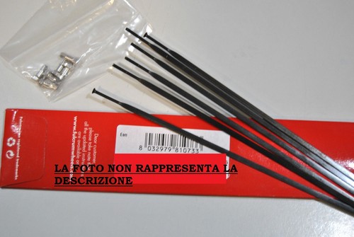 Fulcrum raggi nite post - raggi,