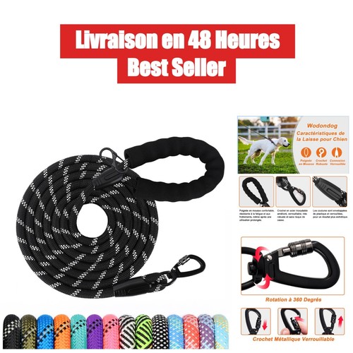Longe pour chien à - pour, 1,2