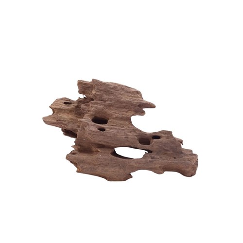 Aquaone racine mangrove - de,
