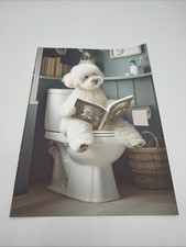 Affiche Chien Bichon Frisé WC