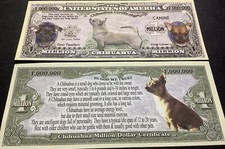 Chihuahua Dog Puppy & Adult Pics, Common Traits on Back