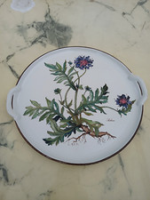 PLAT A TARTE PORCELAINE MANUFACTURE IMPERIALE ET ROYALE VILLEROY & BOCH-BOTANICA