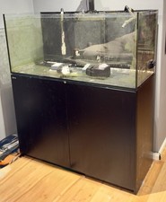 Red Sea REEFER 350 Glass