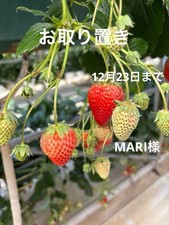 Joli charme fraise avec