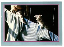 CPM: Tiger cat, kitten on a clothesline, photo P. Putelat