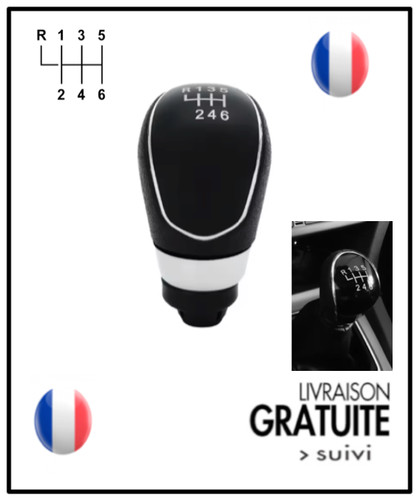 Pommeau levier vitesses pour - 6,