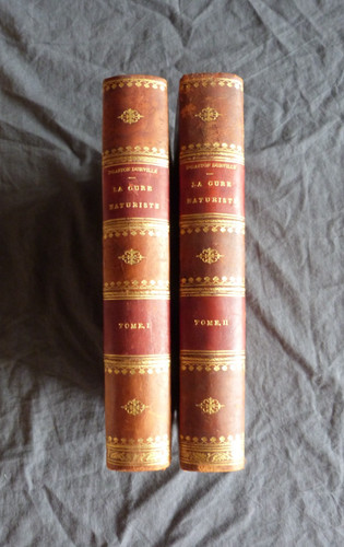 Gaston durville la cure - "la,