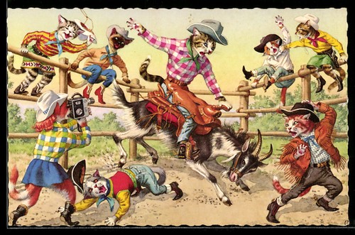 Carte postale chat cowboy - , au