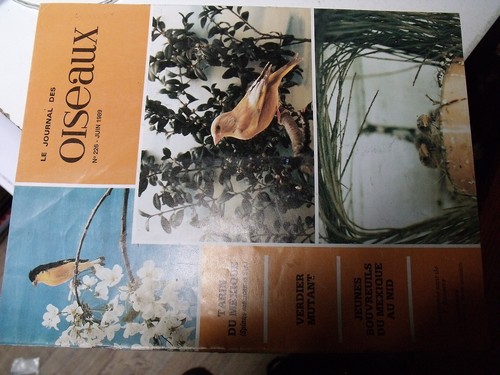 µµ journal des - le, oiseaux