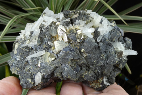 Bournonite quartz pyrite sur - quartz,