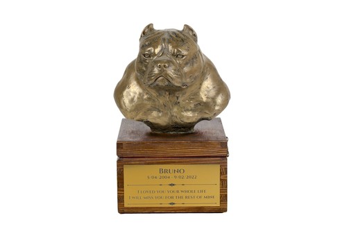 American bully urne art - bully,