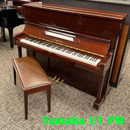 1991 yamaha mahogany - yamaha, u1