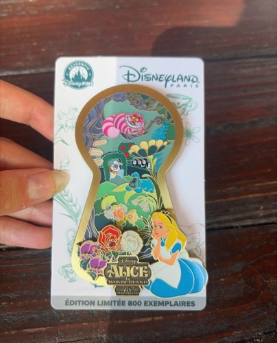 Pin 800 alice pays - pin's, au