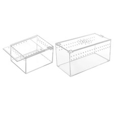 Terrarium pour Reptiles Boîte D'Élevage Habitat Aquarium Araignée Récipient