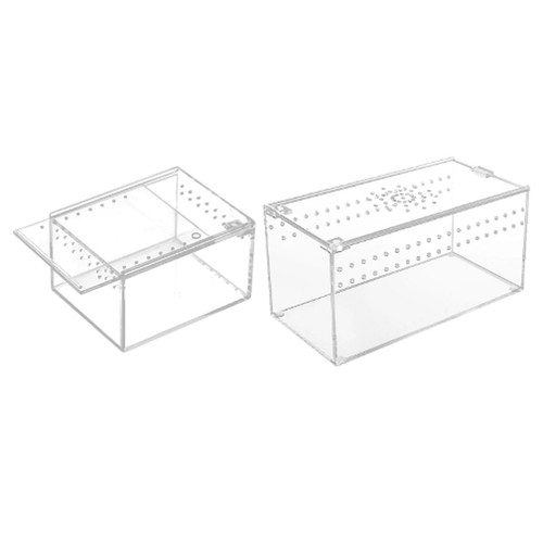 Terrarium pour reptiles boîte - terrarium,