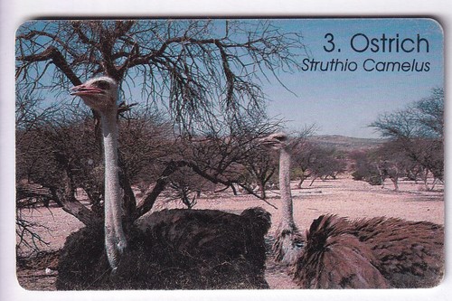 Afrique telecarte phonecard - /,