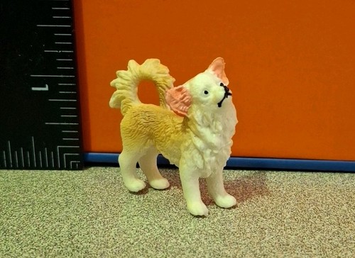 Miniature chihuahua dog - chihuahua,