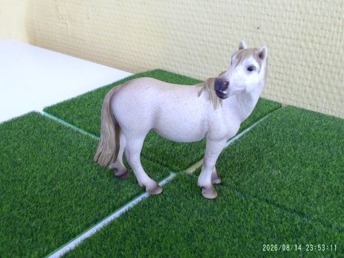 Cheval jument camarguaise - cheval,