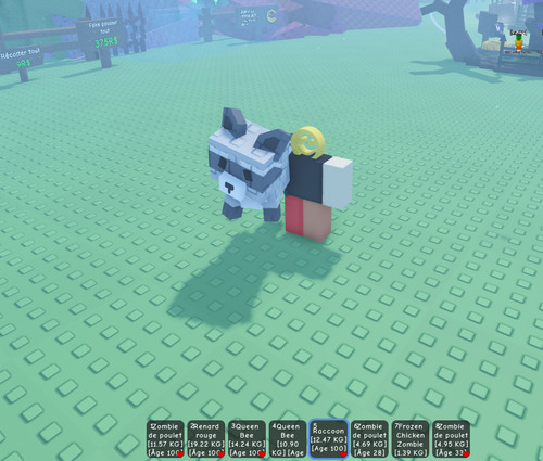 Racoon grow garden roblox - a,