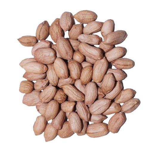Agrarshop arachide light skin - agrarshop,