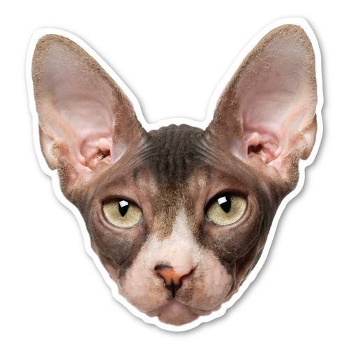 Sphynx cat magnet - sphynx,