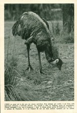 Document ancien au cœur de