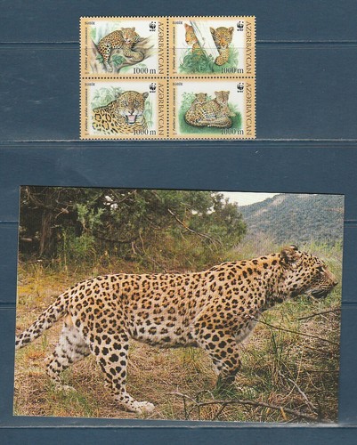 Wwf azerbaidjan faune fauve - azerbaidjan,