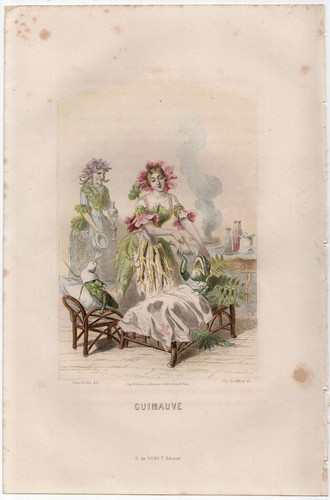 Gravure xixe granville in - gravure,