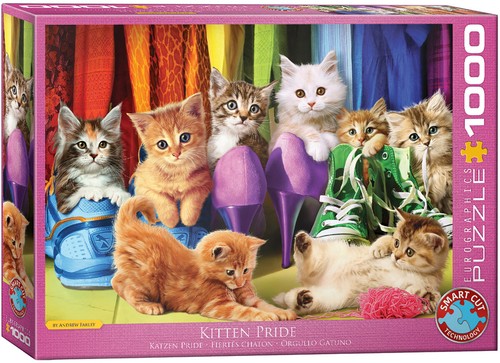 Puzzle eurographics 6000 - puzzle,