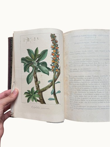 Herbier général amateur - général, de