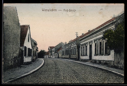 Vie coq rue - vie, la