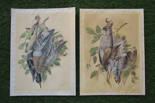 Superbe paire dessins - superbe,