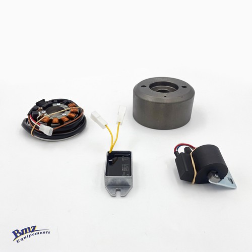 Electronic ignition fantic 200 - fantic,