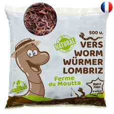 Vers de compost / Lombric pour lombricomposteur - Direct Ferme