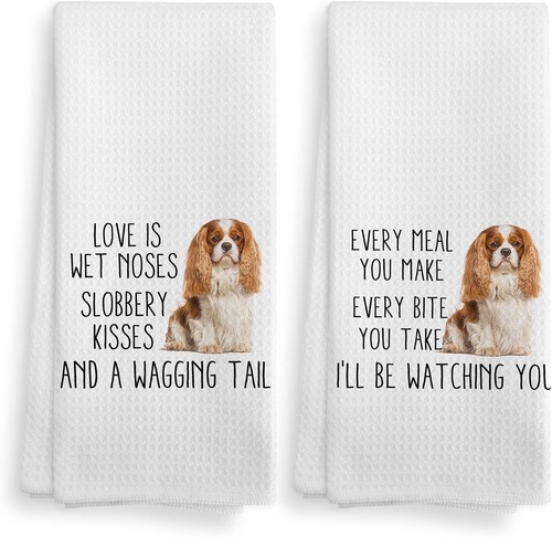 Cavalier king charles spaniel - cavalier,